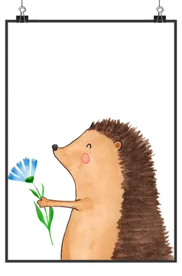 Produktbild von Mr. & Mrs. Panda Bild Igel Blumen Motiv DIN A3 - Weiß - Geschenk, Kunstdruck, Krankheit, Gute Besserung, Besuch, Krankenhaus, Lustige Sprüche, Wandbild, wanddeko, Plakat