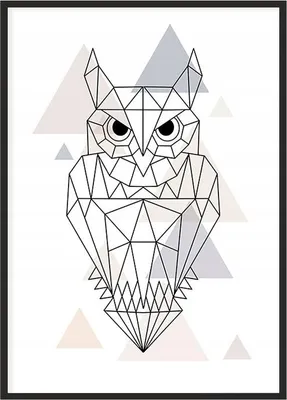 Image de Image Poster dans un cadre 43x33 cm Hibou P1186