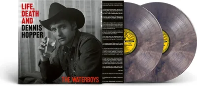 Produktbild von The Waterboys: The Waterboys: Life, Death And Dennis Hopper (Limited Indie Edition) (Psychedelic Waves Colored Vinyl) -   - (LP / L)