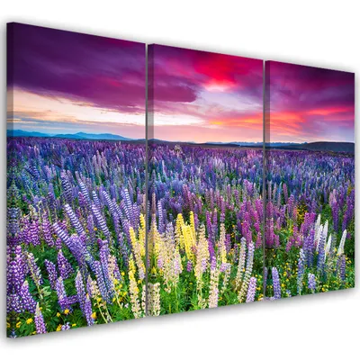 Obrázok produktu pre Triptych na plátne kvety - fialové 90x60 cm Feeby fialová maľba na stenu pripravené na zavesenie