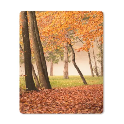 Produktbild von MuchoWow® Mauspad Mousepad Blätter - Herbst - Wald 30x40 cm - Mousepads - Maus Mat - Pad - Mausunterlage - Mausmatten