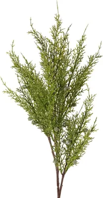 Produktbild von artplants.de Deko Wacholder Zweig ALEKO mit Beeren, grün, 85cm - Künstlicher Zweig