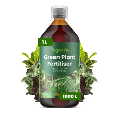 Produktbild von Green Plant Flüssigdünger 1L – 2-1-8 NPK – Flüssig-Pflanzendünger für Grünpflanzen – Organifer