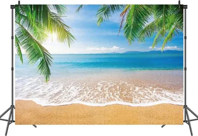 Produktbild von Tropischer Strand Fotografie Hintergrund Sommer Palmen Dekoration 2.4x1.8m