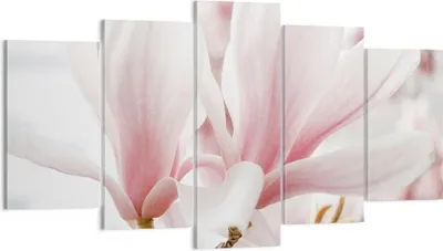 Produktbild von Bild auf Leinwand - Leinwandbild - 5 Teile - Zweig Magnolie Blume - 160x85cm - Wand Bild - Wanddeko - Wandbilder - Leinwanddruck - Bilder - Wanddekoration - Leinwand bilder - Wandbild - EA160x85-4538