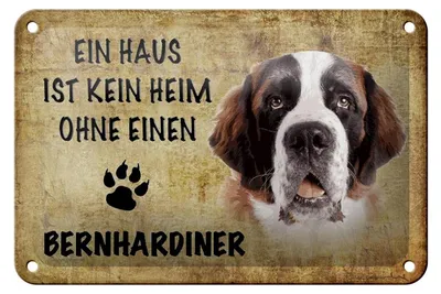 Produktbild von Blechschild Spruch 18x12cm Bernhardiner Hund ohne kein Heim