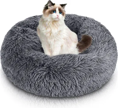 A ragdoll cat sits in a fluffy, round, dark gray pet bed.