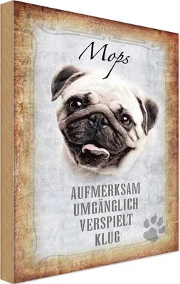 Produktbild von vianmo Holzschild 30x20 cm Mops Hund Tier Haustier