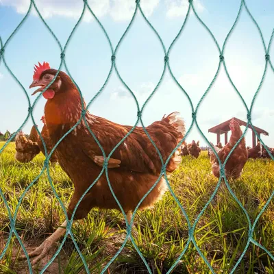 Obrázok produktu pre Plot na hydinu 150 cm, 36 drôtov, pre záhradu