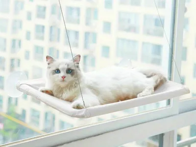 Image de Lit pour chat suspendu et fixe Gris