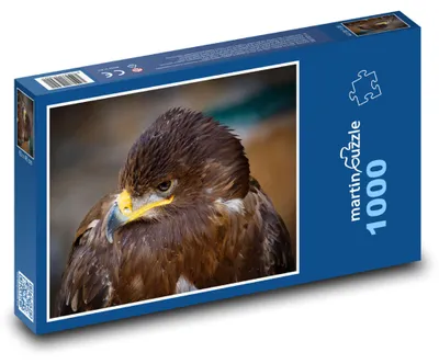 Obrázok produktu pre Puzzle 1000 Majestátny orol v pokoji - martinpuzzle