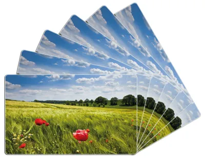 Produktbild von Wallario Frühstücksbrettchen 6er Set aus Glas, je 14 x 23 cm, mit rutschfesten Füßen, Motiv Mohnblumenwiese auf grüner Wiese unter blauem Himmel