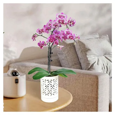 Produktbild von 2X OrchideentöPfe mit LöChern, 4-Orchideentopf Aus Keramik zum Umtopfen, Blumentopf für Drinnen und DraußEn, Atmungsaktives
