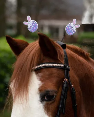 Produktbild von Genickschmuck Ostern Ei