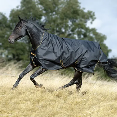 A black horse wearing a Bucas turnout rug runs through a field of dry grass with trees in the background.