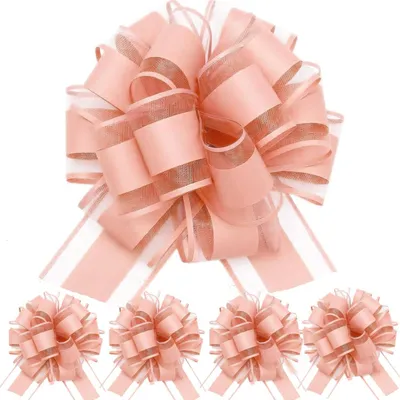 Image de Rubans de décoration, 5 pièces, rose pâle, polypropylène, 165 cm