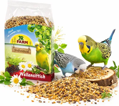 Zdjęcie produktu dla Jr Farm Individual - pokarm dedykowany dla papużek falistych 4kg
