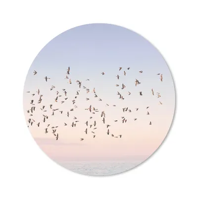 Produktbild von MuchoWow® Mauspad Mousepad Vögel - Meer - Himmel - Natur - Sommer 20x20 cm - Mousepads - Maus Mat - Pad - Mausunterlage - Schreibtischmatte