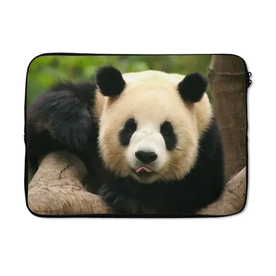 Produktbild von MuchoWow® Laptop Hülle 13 Zoll Tiere - Panda - Bäume Laptoptasche - Laptophülle - Sleeve - Rundumschutz