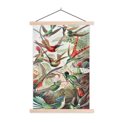 Produktbild von MuchoWow® Textilposter Kolibri - Vintage - Ernst Haeckel - Vogel - Kunst - Natur 40x60 cm mit holzfarbenen Rahmen - Poster