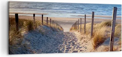 Produktbild von Bild auf Leinwand - Leinwandbild - Meer Strand Düne - 120x50cm - Wand Bild - Wanddeko - Wandbilder - Leinwanddruck - Bilder - Kunstdruck - Wanddekoration - Leinwand bilder - Wandkunst - AB120x50-3612