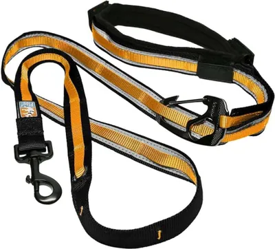 Produktbild von Kurgo 6-in-1 Reflektierende Hundeleine Quantum Schwarz und Orange