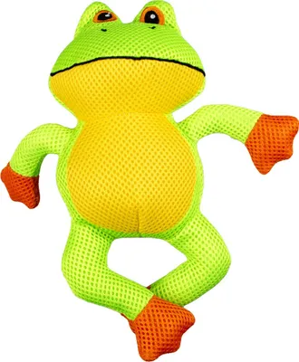 Produktbild von Duvo+ Hundespielzeug Refresh schwimmender Frosch