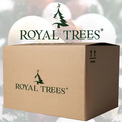A cardboard box with the 'ROYAL TREES' logo and Christmas ornaments in the background.
