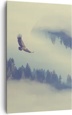 Produktbild von Bild auf Leinwand - Leinwandbild - Einteilig - Vogel Natur Wald - 80x120cm - Wand Bild - Wanddeko - Wandbilder - Leinwanddruck - Wanddekoration - Leinwand bilder - Wandbild - PA80x120-3853