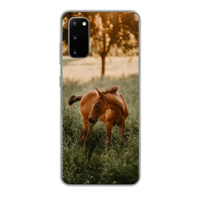 Produktbild von MuchoWow® Handyhülle Schutzhülle Hülle für Samsung Galaxy S20 Pferd - Gras - Baum Silikon Softcase Handy Hülle - Bild