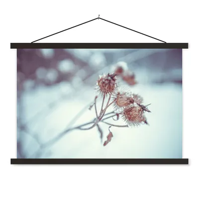 Produktbild von MuchoWow® Textilposter Pflanzen - Winter - Schnee - Natur 60x40 cm mit schwarzem Rahmen - Hölzernes