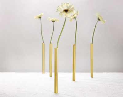 PELEG DESIGN - Stilvolle magnetische Vasen aus Aluminium in Gold| 5er Set für kreative Dekorationen - Platzsparend und elegant | Blumenvase | Moderne Deko | Geschenk zum Muttertag, Geburtstag