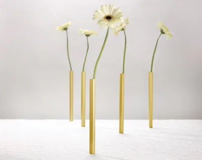 Immagine prodotto di PELEG DESIGN - Eleganti vasi magnetici in alluminio color oro | set di 5 per decorazioni creative - salvaspazio ed eleganti | vaso per fiori | decorazione moderna | regalo per la festa della mamma, compleanno