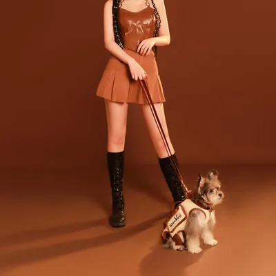 Produktbild von Famanu Hunde-Rucksack für Hunde mit Gelenkverletzungen - Größe M Beige