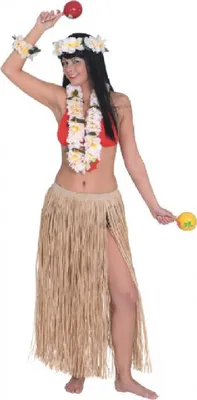 Produktbild von O39912 natur Damen Hawaii Bastrock Hawaii Kostüm