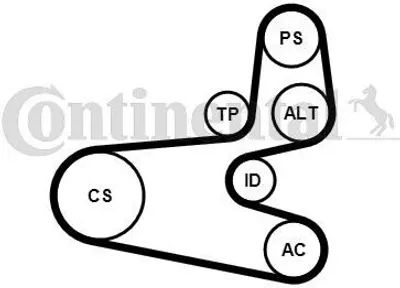 Produktbild von Continental ContiTech 6PK1560K1 Keilrippenriemensatz für Peugeot Partner 206