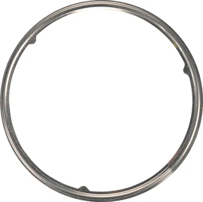 Produktbild von Auspuffdichtung Alfa Romeo Fiat Lancia 51896690