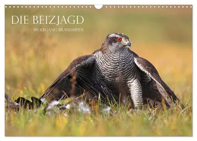 Produktbild von Die Beizjagd (Wandkalender 2027 DIN A3 quer), CALVENDO Monatskalender