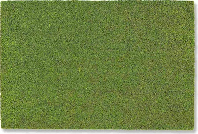 Image de Astra Paillasson Intérieur et extérieur COCO COLOR T Vert 40 x 60 cm