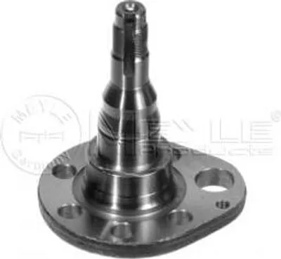 Produktbild von Meyle Achsschenkel, Radaufhängung  100 501 0037