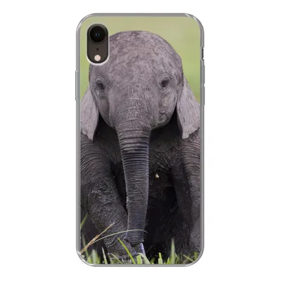 Produktbild von MuchoWow® Handyhülle Schutzhülle Hülle für iPhone XR Elefant - Baby - Tiere - Gras - Natur Silikon Softcase Handy Hülle - Schutzdeckel
