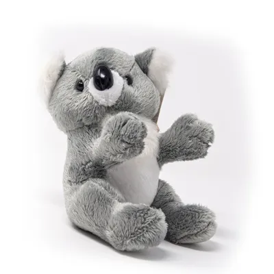 Image de Cornelissen - Doudou - Koala - 14 cm