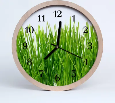 Produktbild von Holzuhr 20fi cm wanduhr - Gras Gras