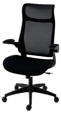 Produktbild von Ergonomischer Bürostuhl mit 3D verstellbaren Armlehnen, Kopfstütze, höhenverstellbarem Drehstuhl mit Wippfunktion, Netzbespannung, Schwarz