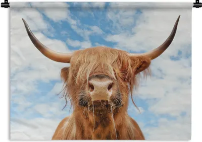Produktbild von MuchoWow® Wandteppich Wandbehang Schottischer Highlander - Wolke - Tiere 120x90 cm Tapisserie Dekoration Wandtuch - Wohnen - Aufhänger für die Wand