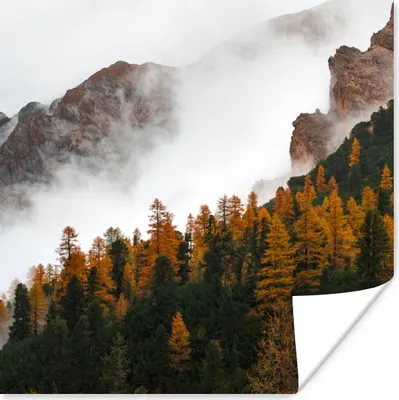 Produktbild von MuchoWow® Poster Berg - Nebel - Wald 75x75 cm - Wand Dekoration