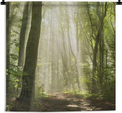 Produktbild von MuchoWow® Wandteppich Wandbehang Wald - Licht - Natur - Landschaft 60x60 cm Tapisserie Dekoration Wandtuch - Dekorationen - Wand Decke