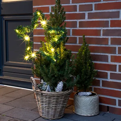 Outdoor Christmas decoration with LED lights on a garland and small trees in pots.
