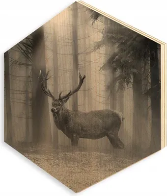 Produktbild von Bild auf Sperrholz, Holz, HEXAGON, 30x35cm, SP660