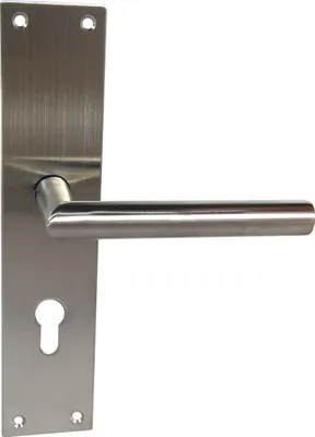 A stainless steel door handle set with a backplate and a keyhole.